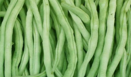 酸麻豆,探寻传统美食的独特魅力